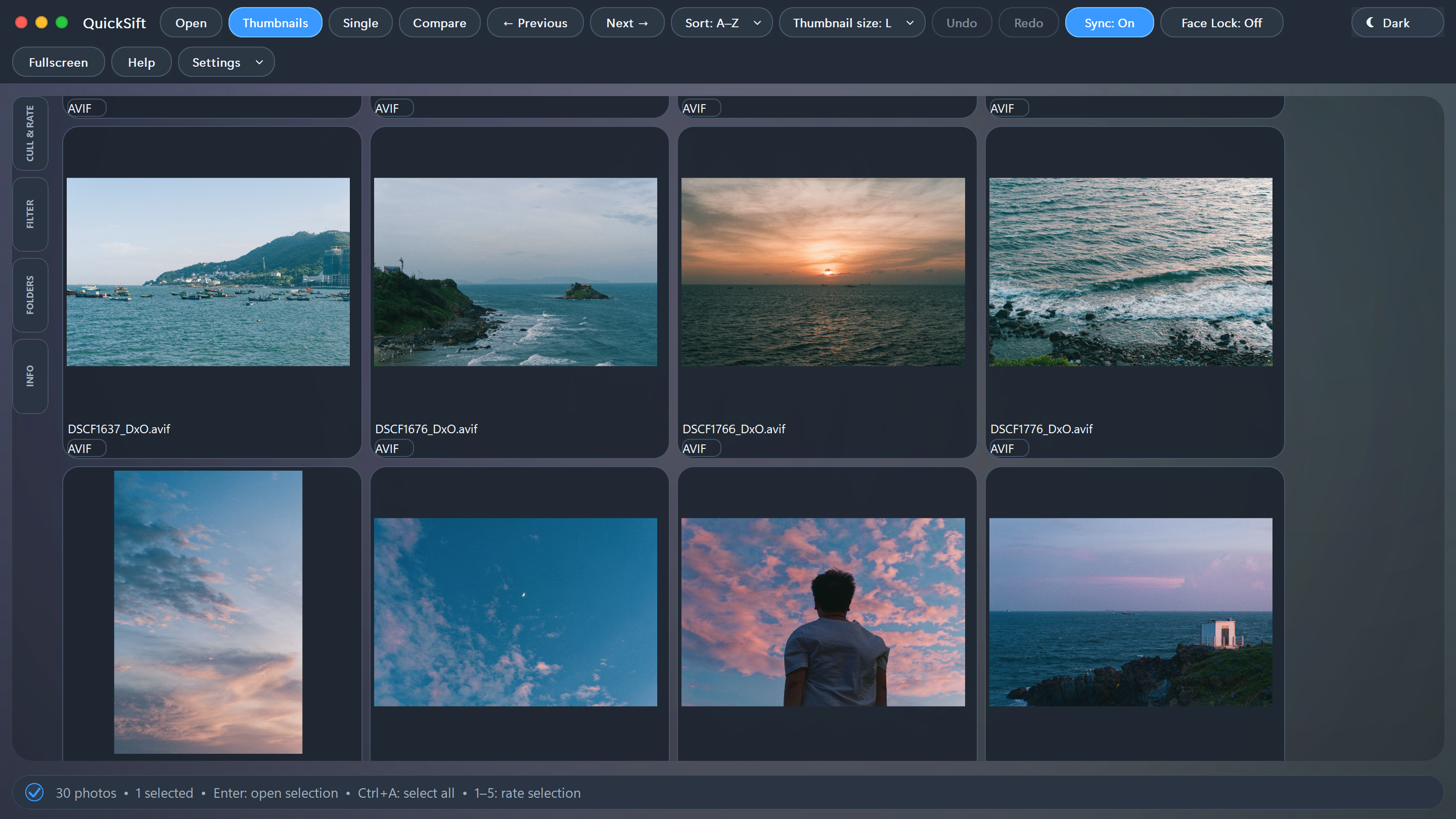 QuickSift Thumbnail Grid View