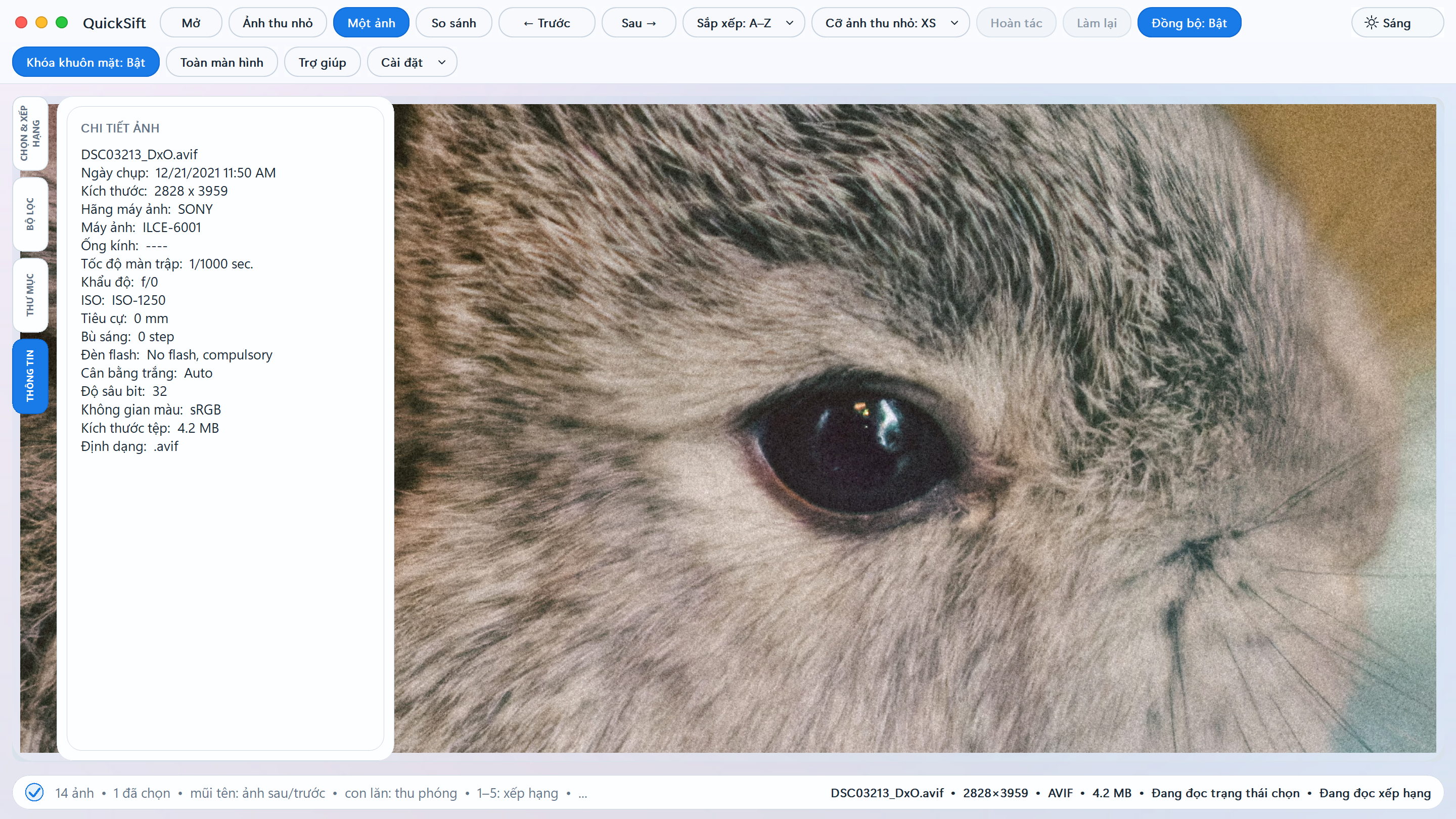 Metadata and EXIF View