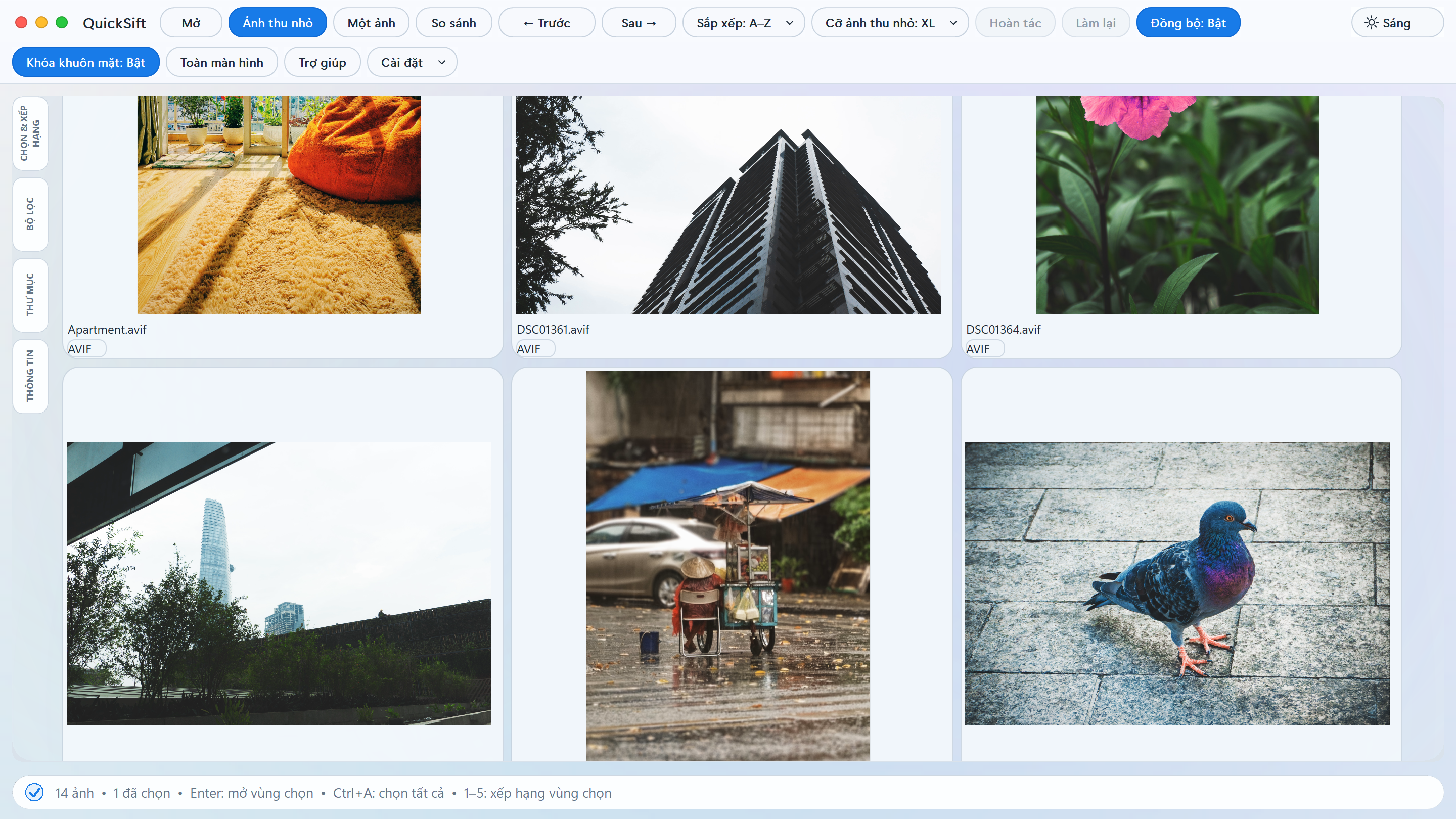 Vietnamese Light Theme
